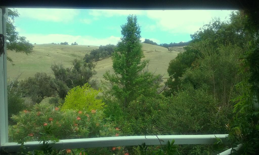 Hostal Brookvale House Balingup Exterior foto